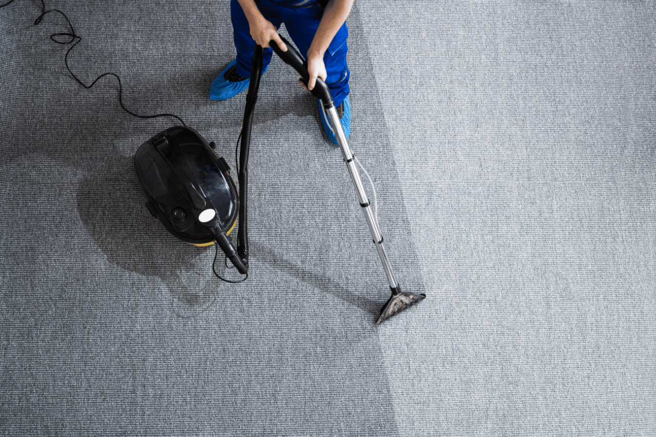 professional carpet cleaning